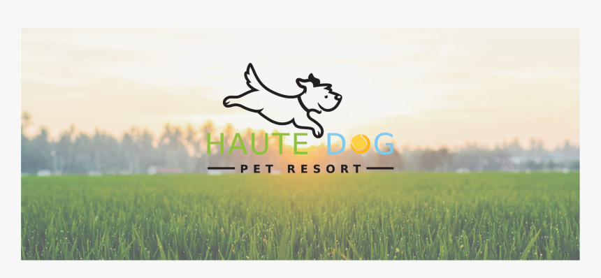 Lawn, HD Png Download