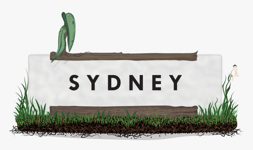 Sydney Grass Landscape - Sweet Grass, HD Png Download