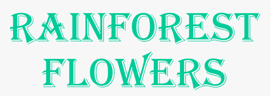 Calligraphy, HD Png Download