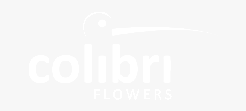 Logo Colibri Flowers S - Hyatt White Logo Png, Transparent Png