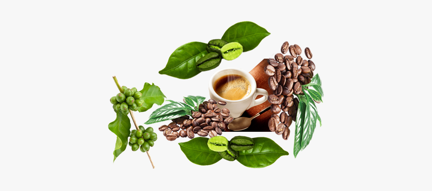 Superfood, HD Png Download