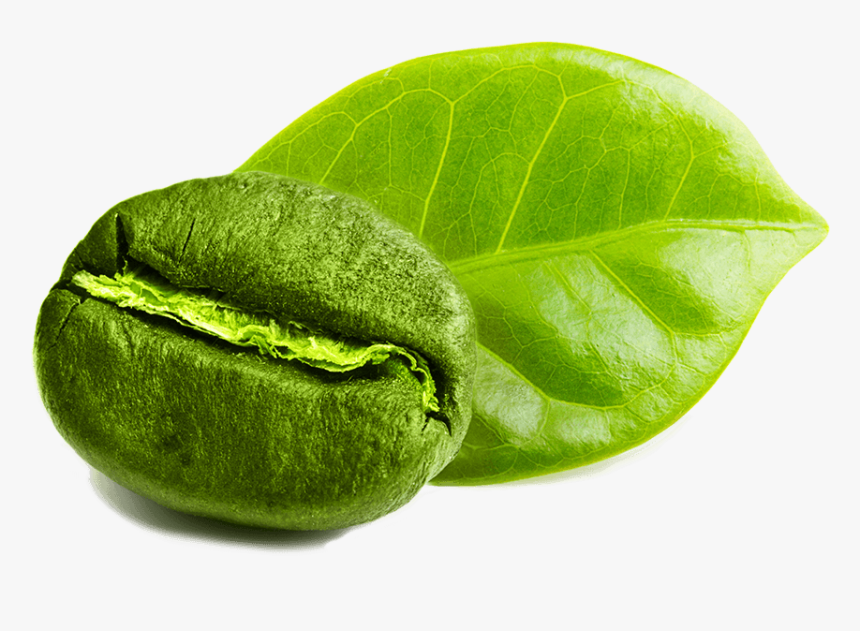 Green Coffee White Background, HD Png Download
