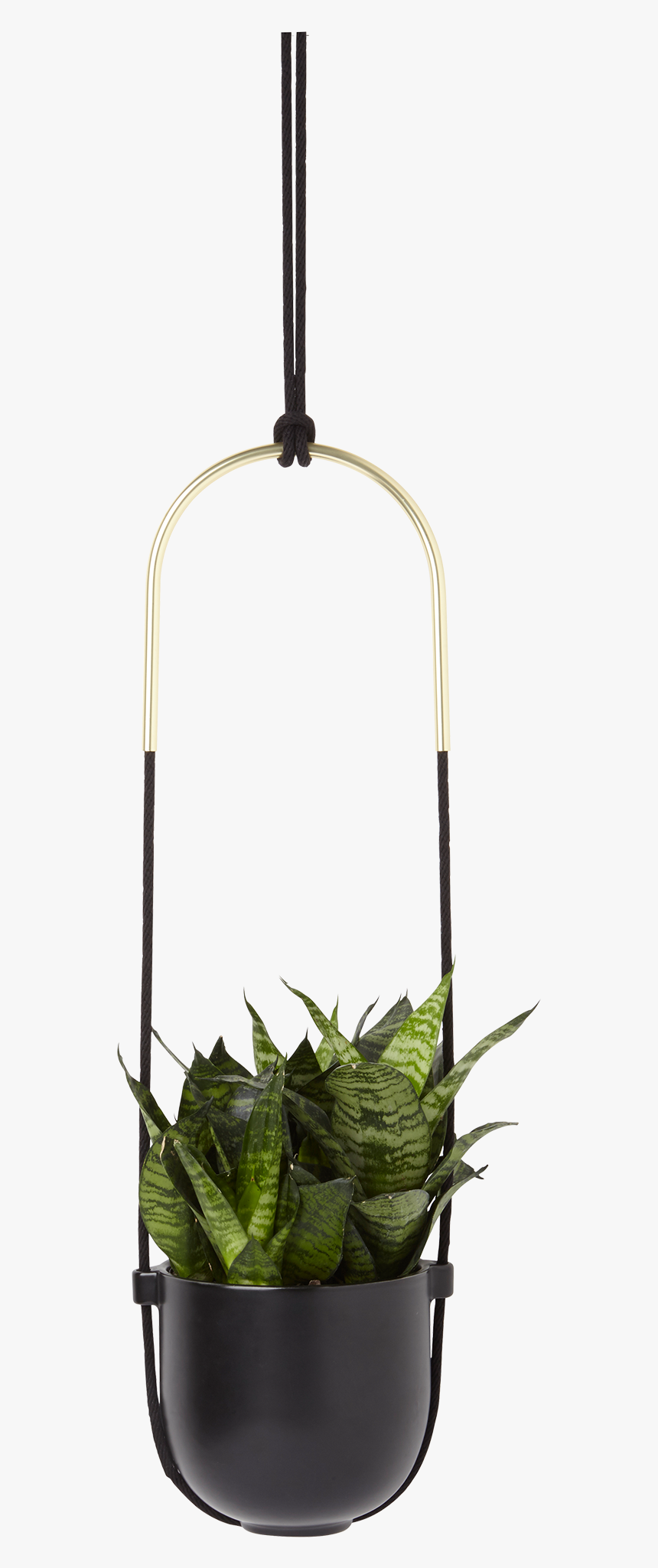 Umbra Bolo, HD Png Download