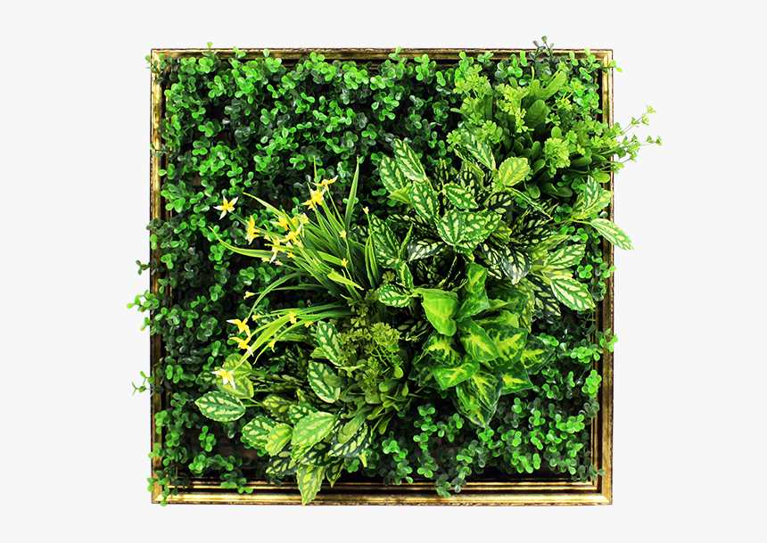 Diy Artificial Plant Wall, HD Png Download