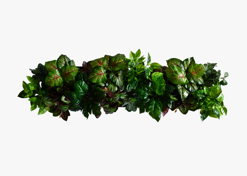 Flowerpot, HD Png Download