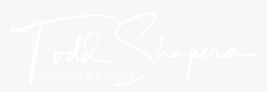 Todd Shapera Photography - Hyatt Regency Logo White, HD Png Download