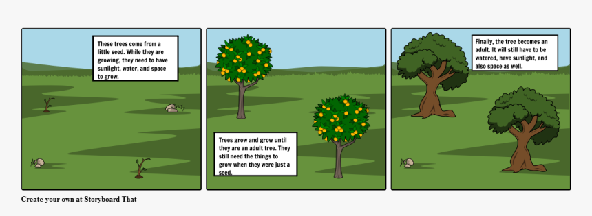 Tree, HD Png Download