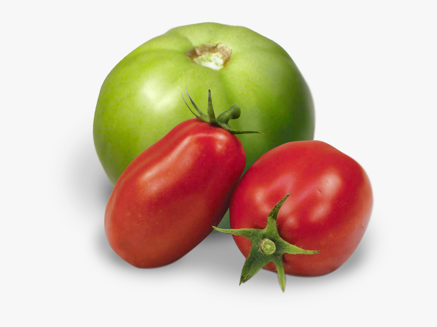 Red And Green Tomatoes Png, Transparent Png