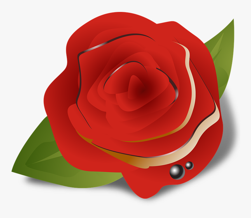 Flower, Rose, Red, Ghulab, Colour - Garden Roses, HD Png Download