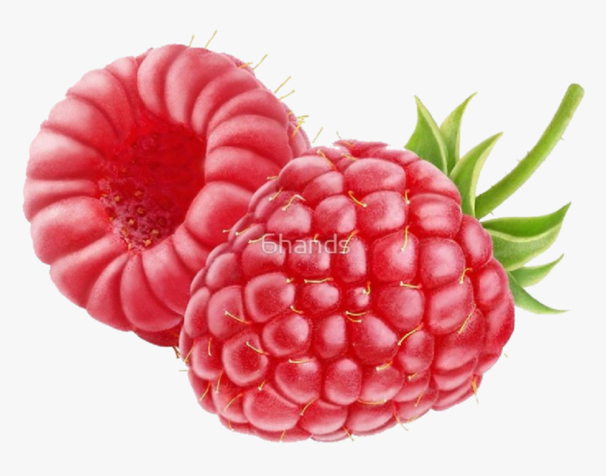 #rasberry #red #colour #fruit #art #stickers #clipart - Raspberry Blackberry, HD Png Download