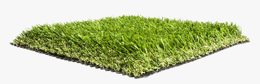 Artificial Grass Liquidators Turf Agl Pro69 - Lawn, HD Png Download