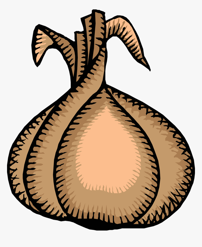 Onion Svg Clip Arts - Clock Without Hands Clipart Black And White, HD Png Download