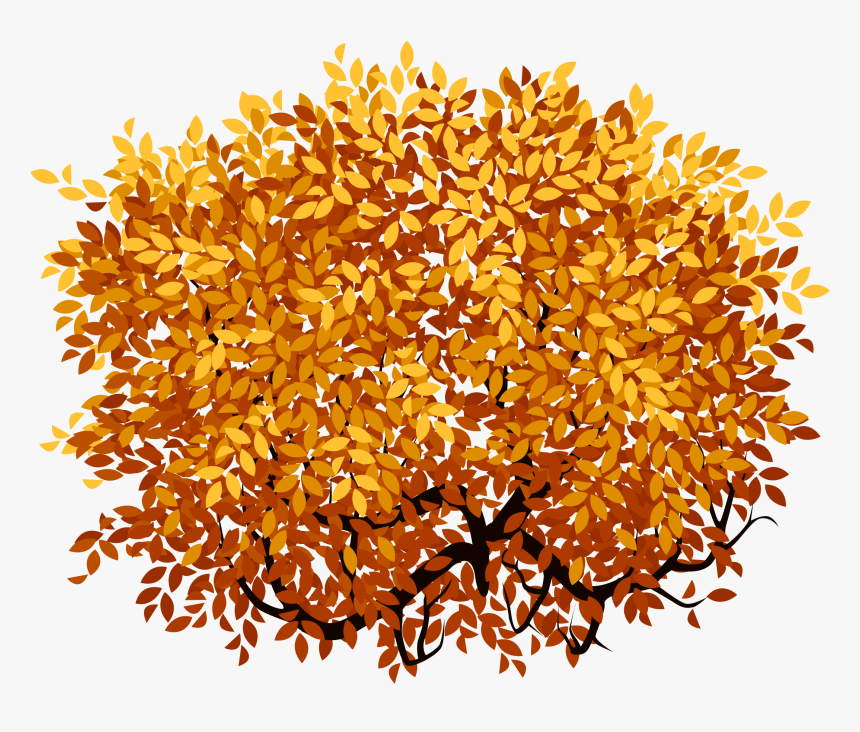 Clip Art Transprent Png Free Download - Orange Bush Png, Transparent Png