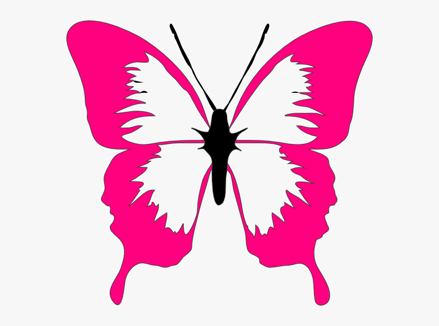 Butterfly Pink And White, HD Png Download