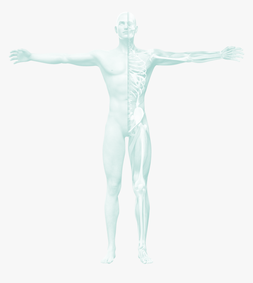 Orthopedic Conditions - Male, HD Png Download