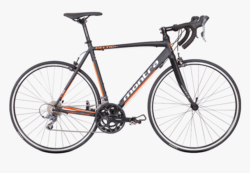 cannondale synapse adventure
