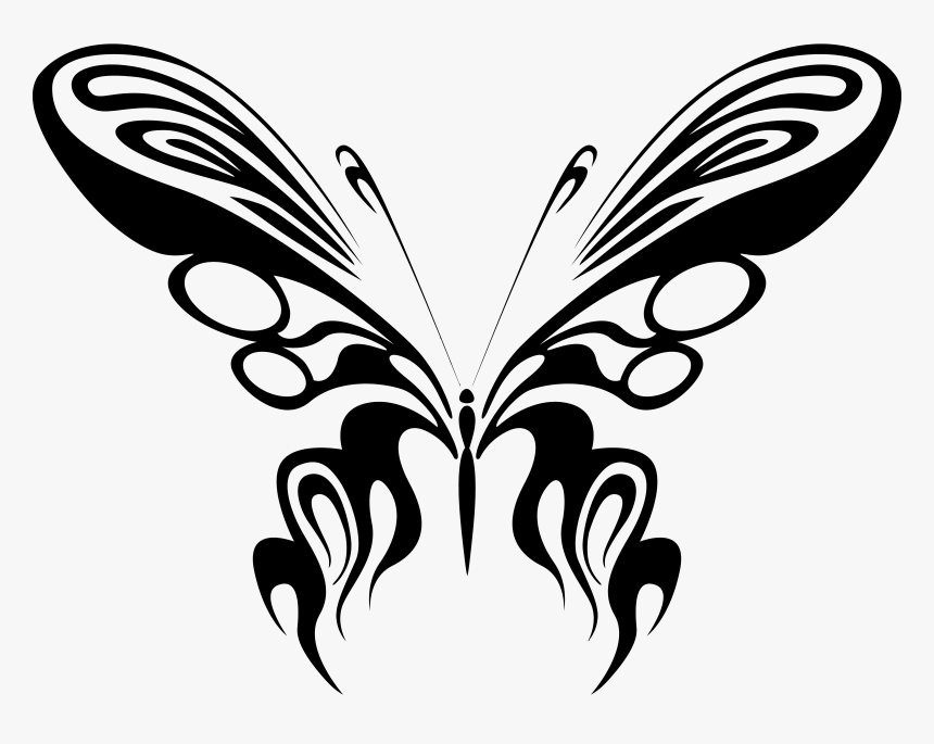 Butterfly Line Art 17 Clip Arts - Black White Butterfly Drawings, HD Png Download