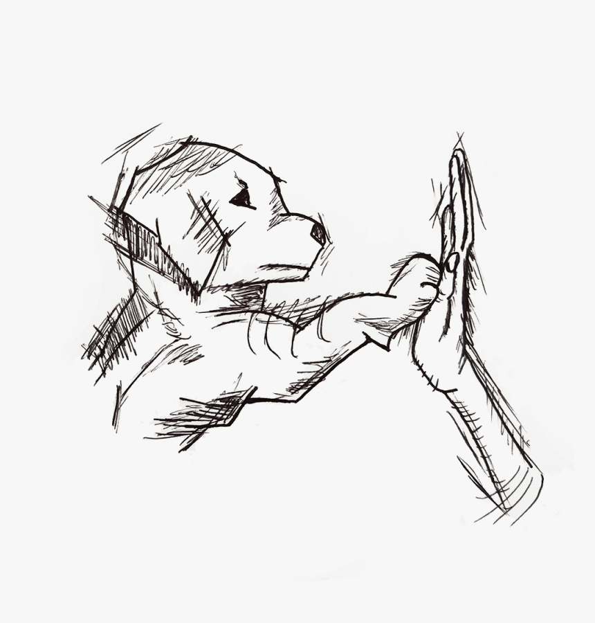 Sketch, HD Png Download