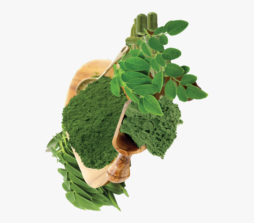 Cruciferous Vegetables, HD Png Download