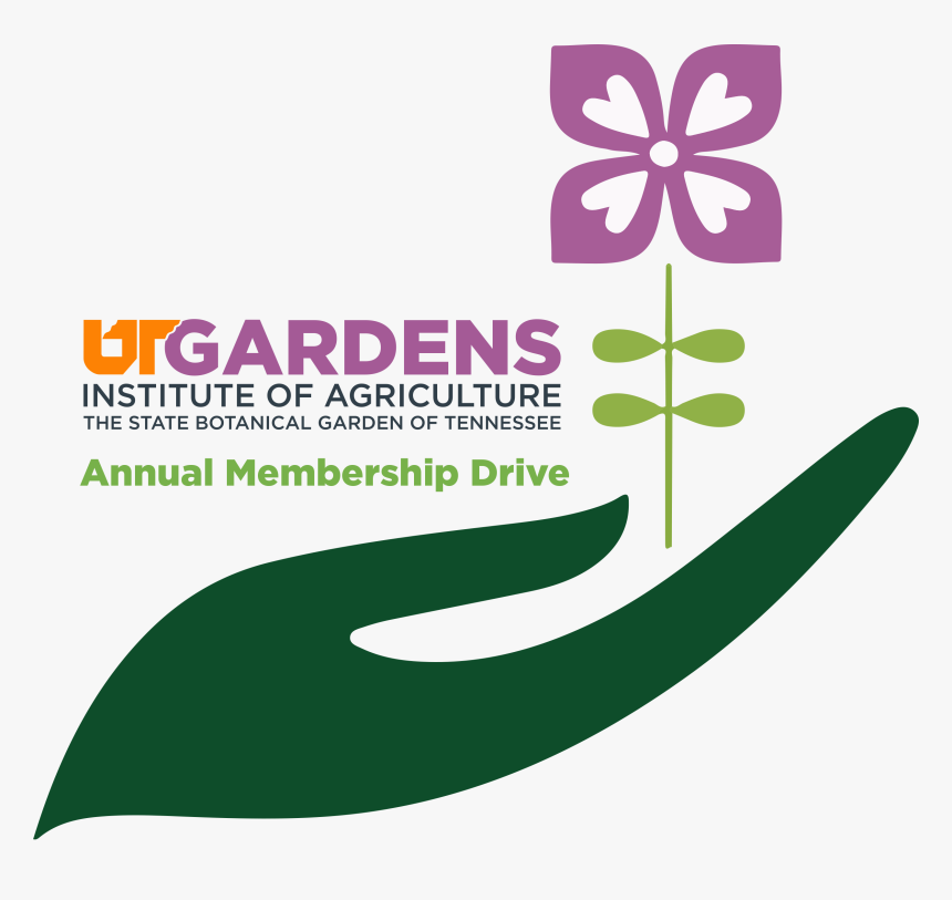 Ut Gardens Membership Drive Logo - Graphic Design, HD Png Download