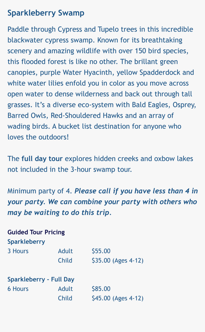 Screenshot, HD Png Download