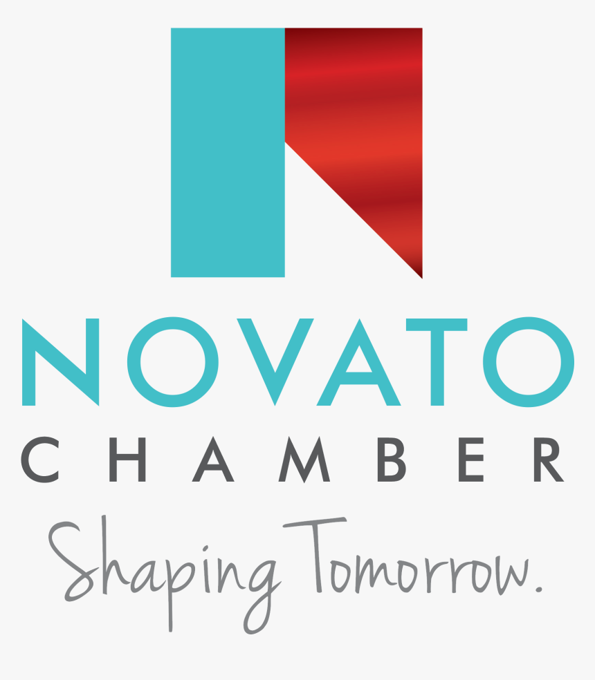 Logo Brand Display Full Large Size - Air Cairo, HD Png Download