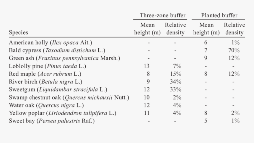 Mathematics, HD Png Download