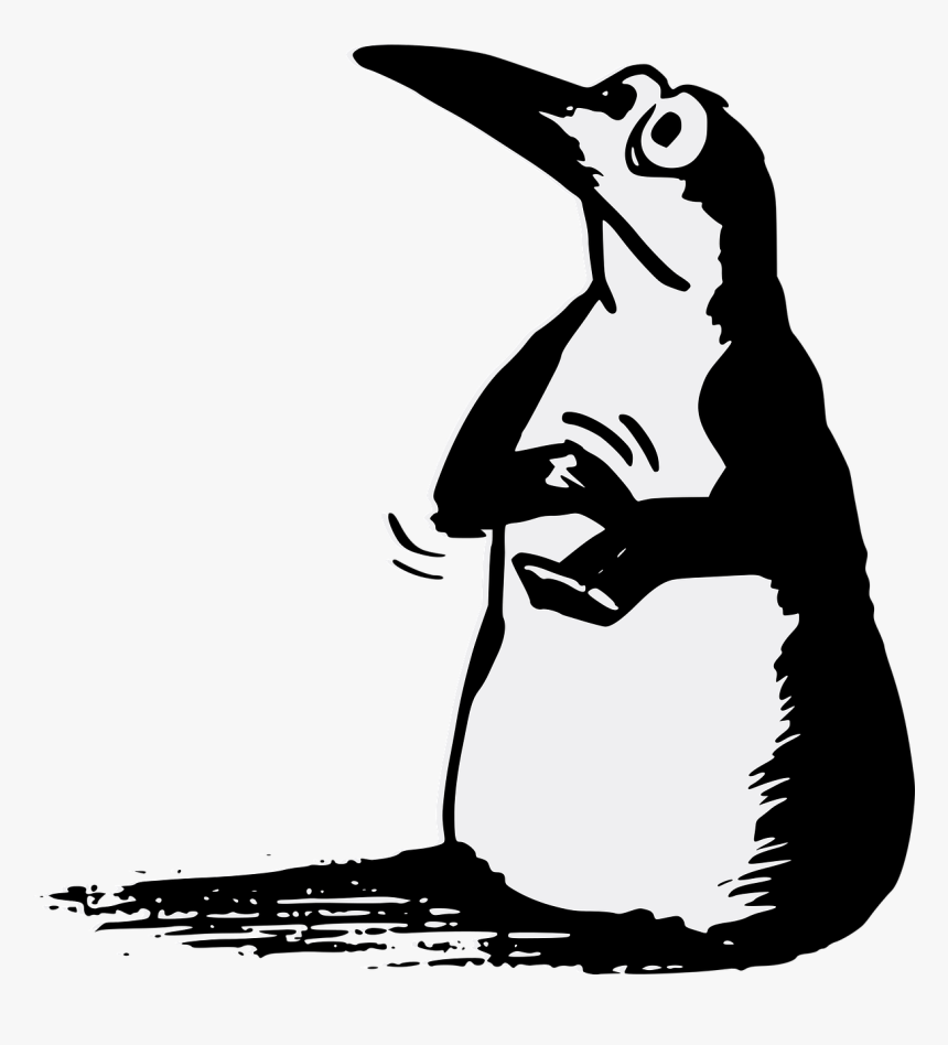 Bravo Penguin, HD Png Download