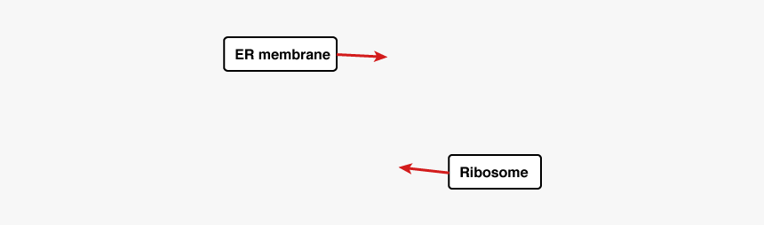 Slope, HD Png Download