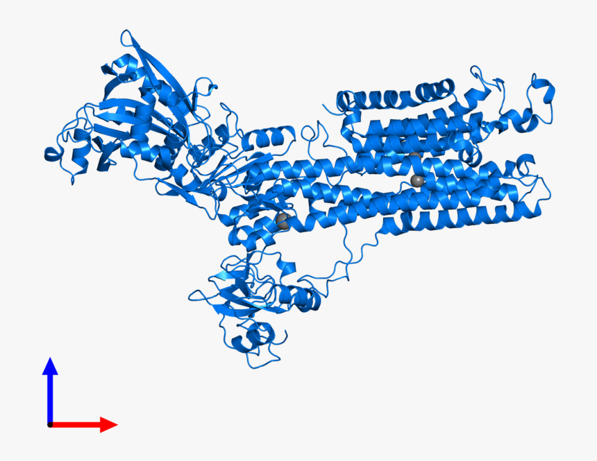 Graphic Design, HD Png Download