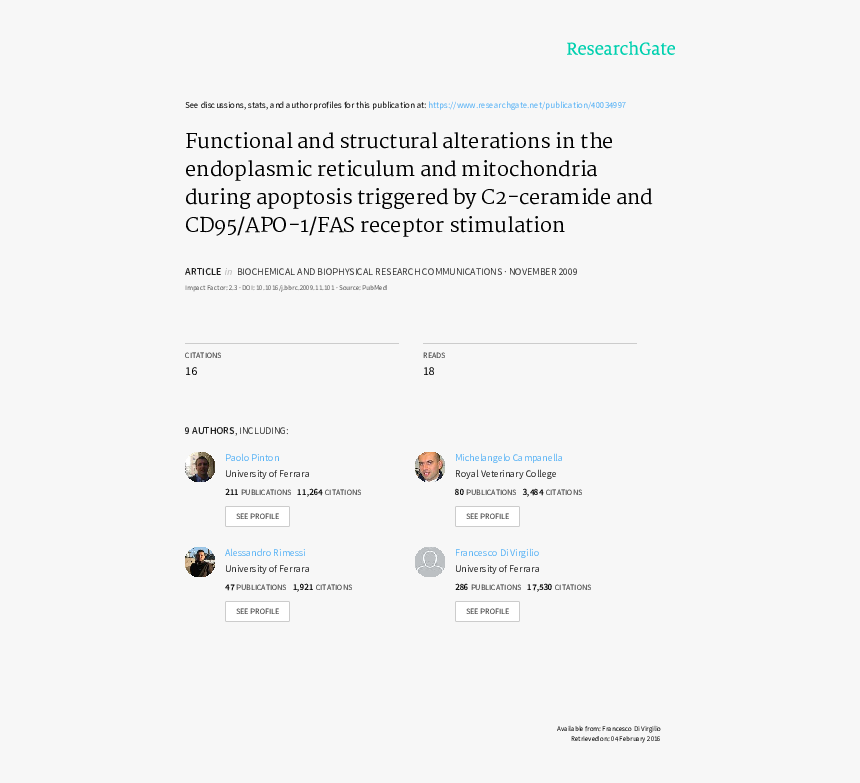 Screenshot, HD Png Download