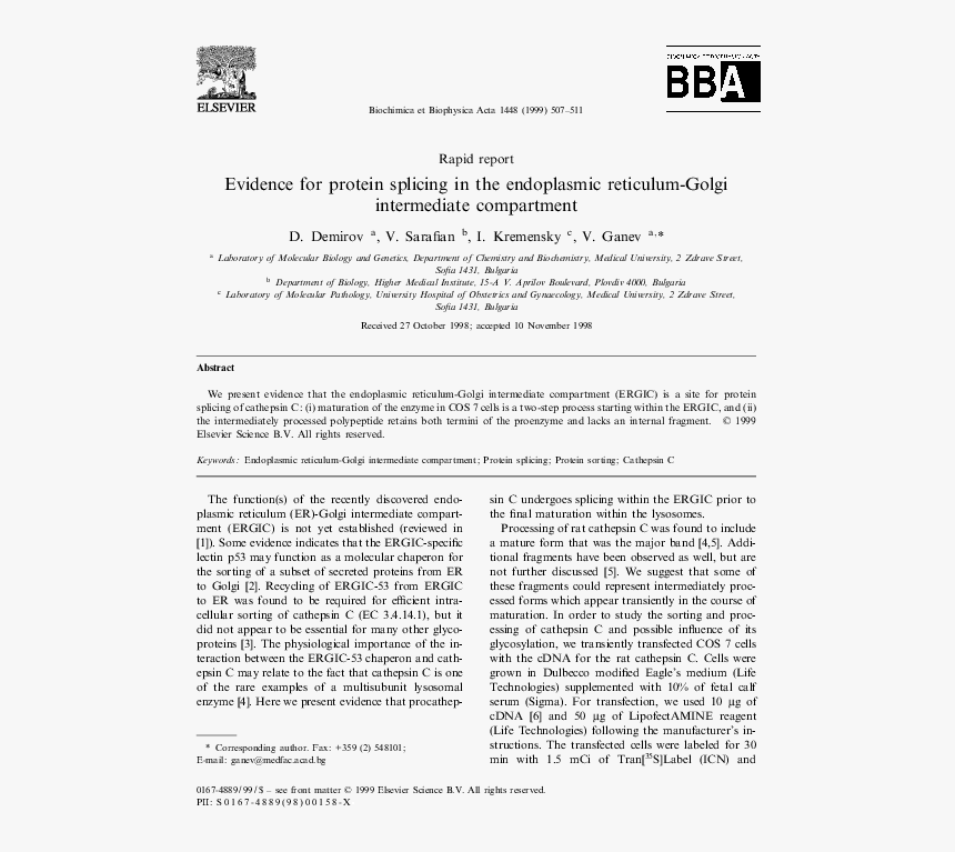 Document, HD Png Download