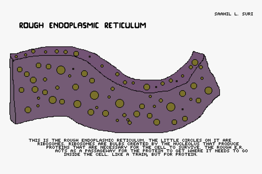 Pattern, HD Png Download