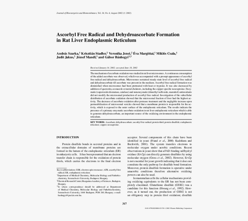 Folio Four From Burchard Of Sion's De Locis Ac Mirabilibus, HD Png Download