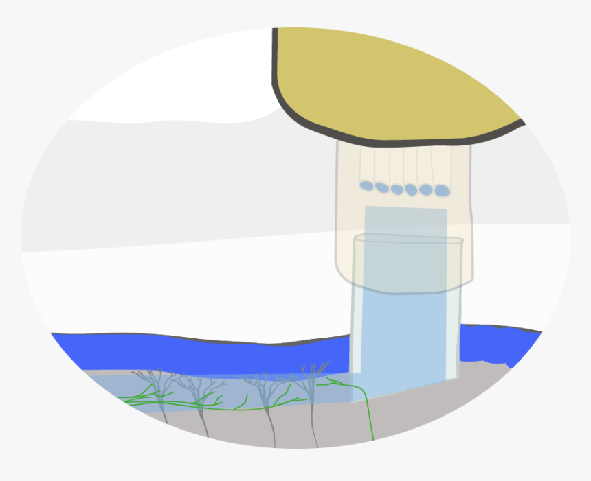 Circle, HD Png Download