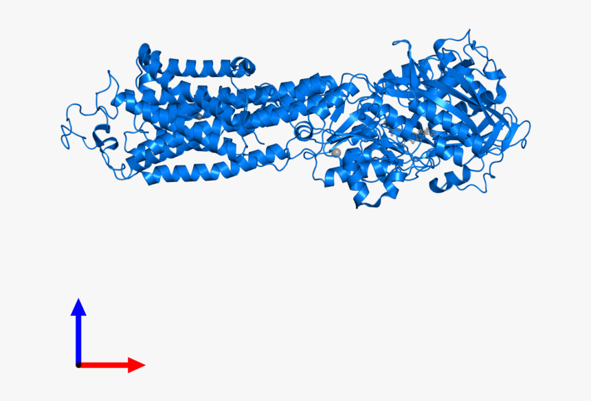 Clip Art, HD Png Download