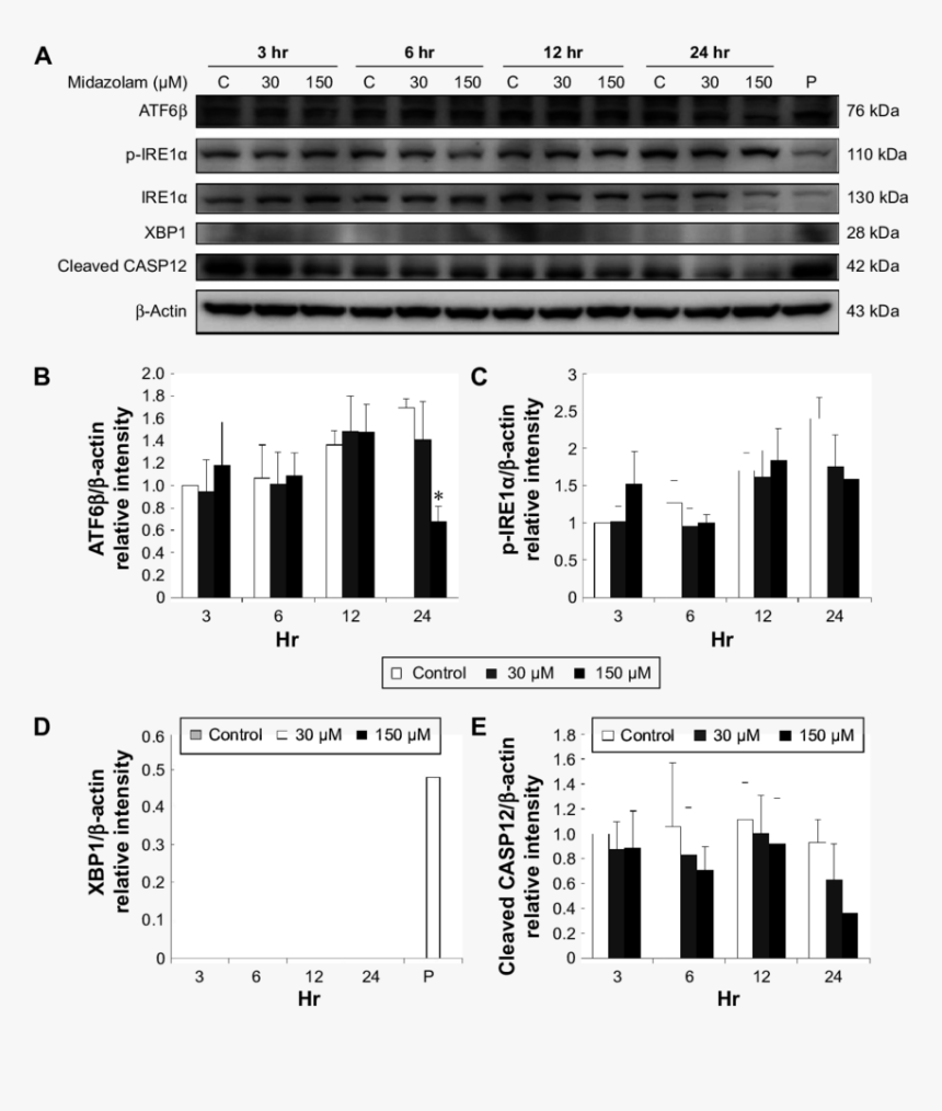 Diagram, HD Png Download
