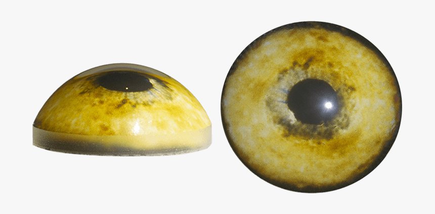 Galaxy, HD Png Download