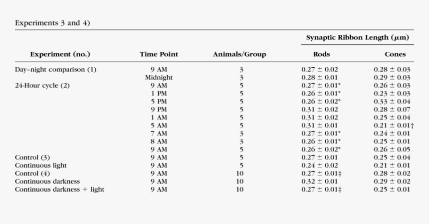 Calories Intake Per Day According To Weight, HD Png Download