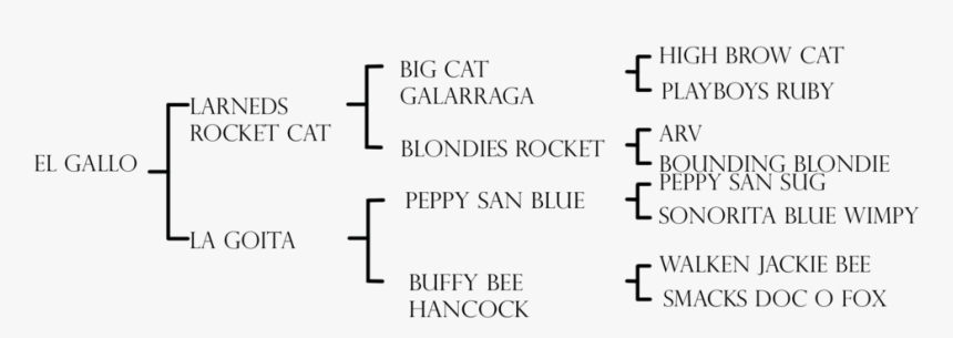 Document, HD Png Download