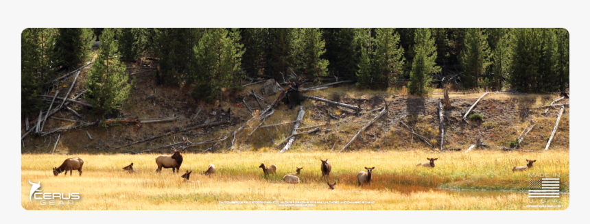 Herd, HD Png Download