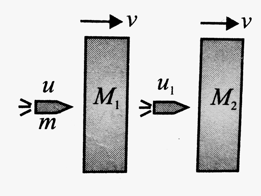 Emblem, HD Png Download