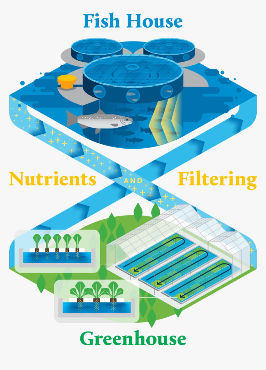 Superiorfresh Aquaponicsinfographic Simplified Vert - Soccer-specific Stadium, HD Png Download