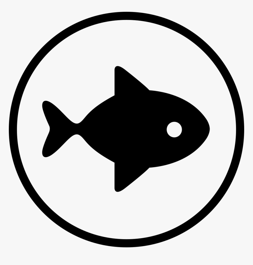 Fresh - Killer Whale, HD Png Download