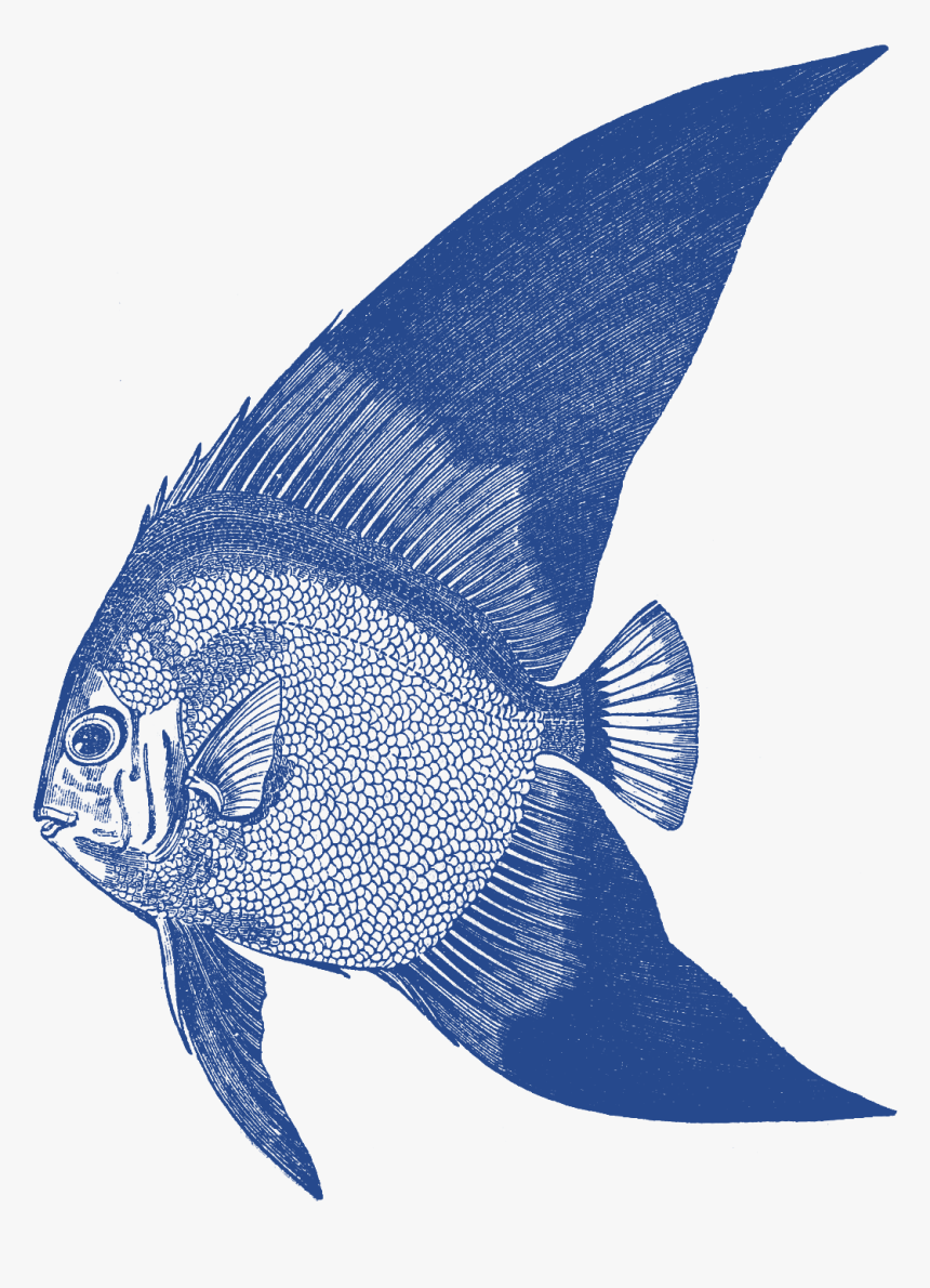 Illustration, HD Png Download