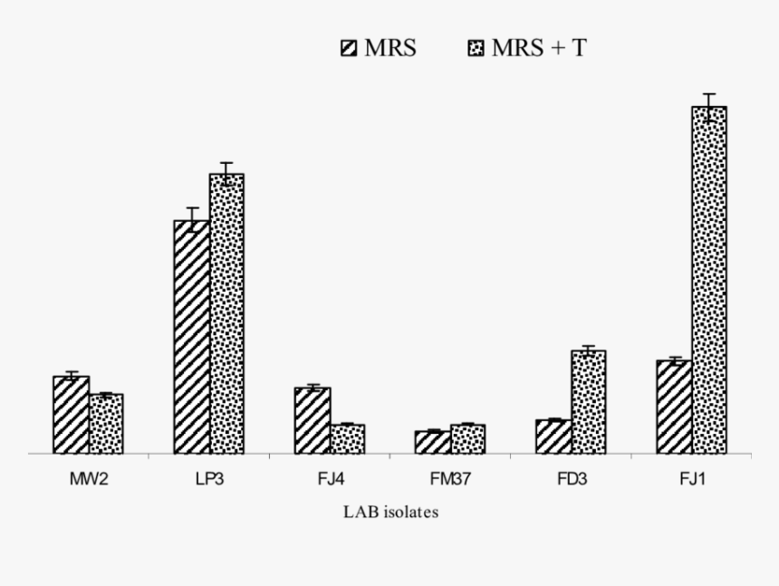 Metropolitan Area, HD Png Download