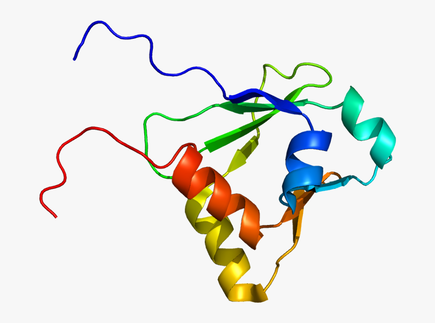Protein Iqgap1 Pdb 1x0h, HD Png Download