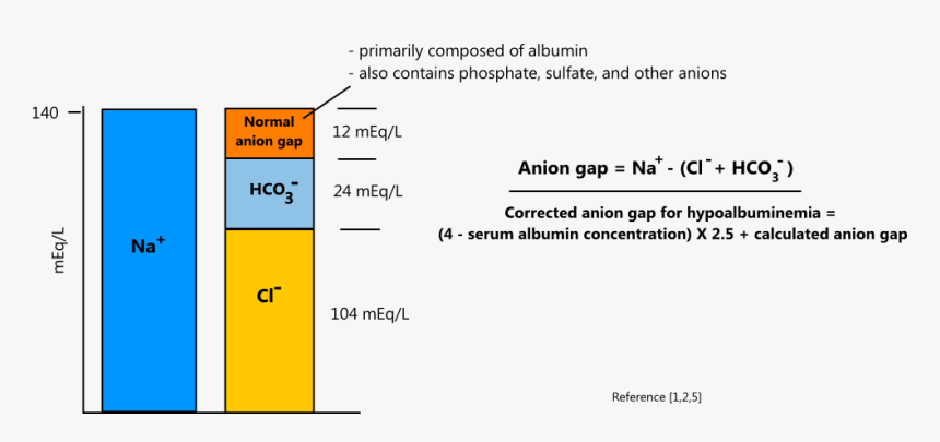 Anion Gap, HD Png Download