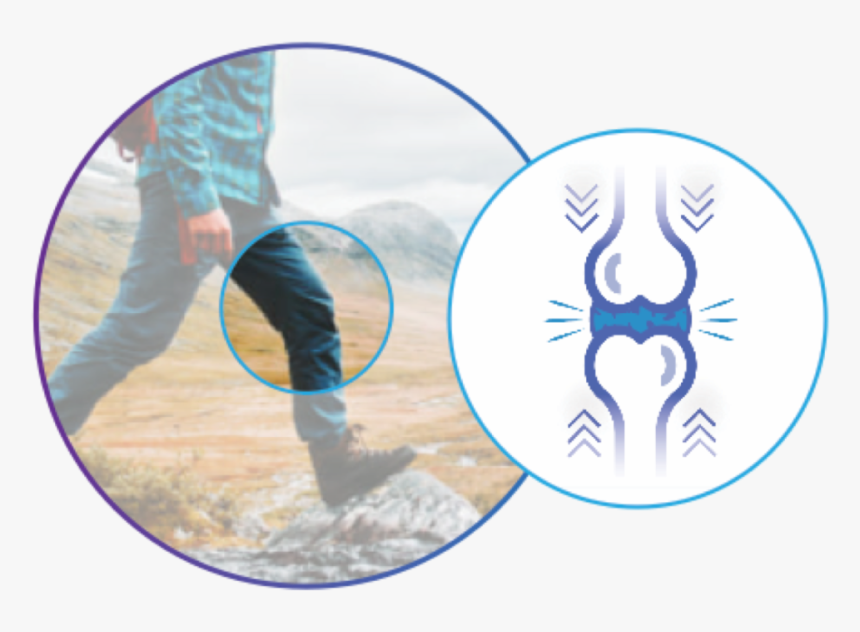 Joint Loading Is The Primary Driver Of Osteoarthritis - Circle, HD Png Download