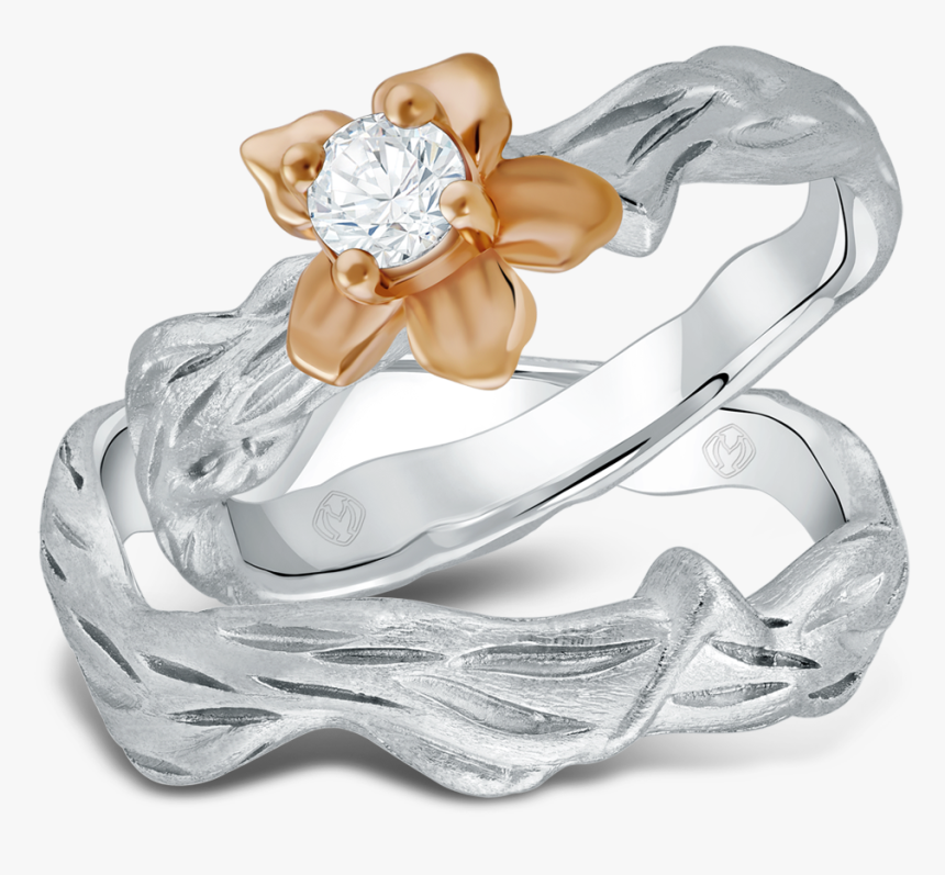 Miss Mondial Tex Saverio Earth, HD Png Download